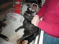 BPrince gettting a bath